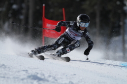20th WHISTLER CUP